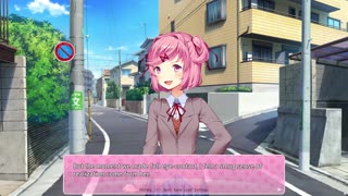 Casual Reveal - A Normal VN Pt.48
