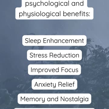 Ambient Rain and Thunder Sounds for Deep Sleep, Focus & Relaxation | Nature White Noise