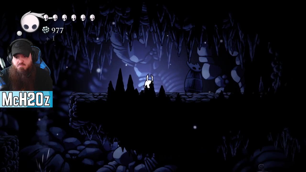 Did your NFL team win today?