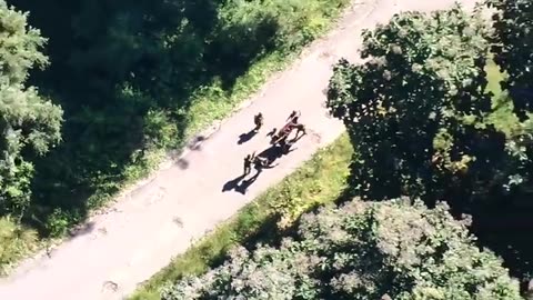 🚀🔍 Myanmar War | Junta Drone Spots PDF Troops in Zayatkwin | RCF