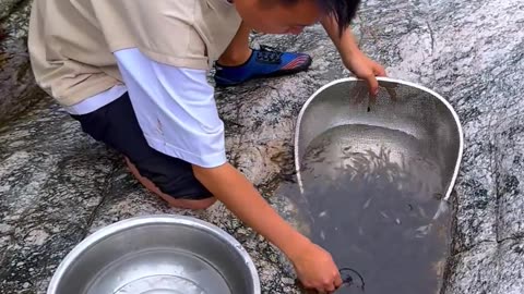 catch baby fish