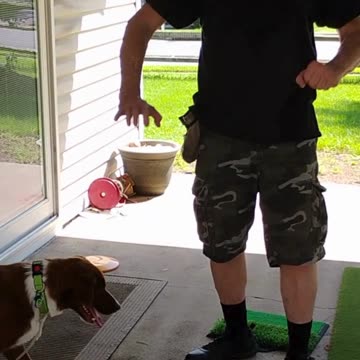 Dice Lesson Two Stop, Back, Figure 6 Pattern