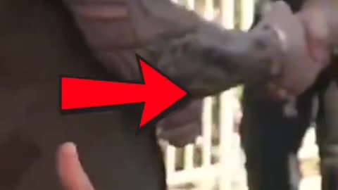 What is happening here?