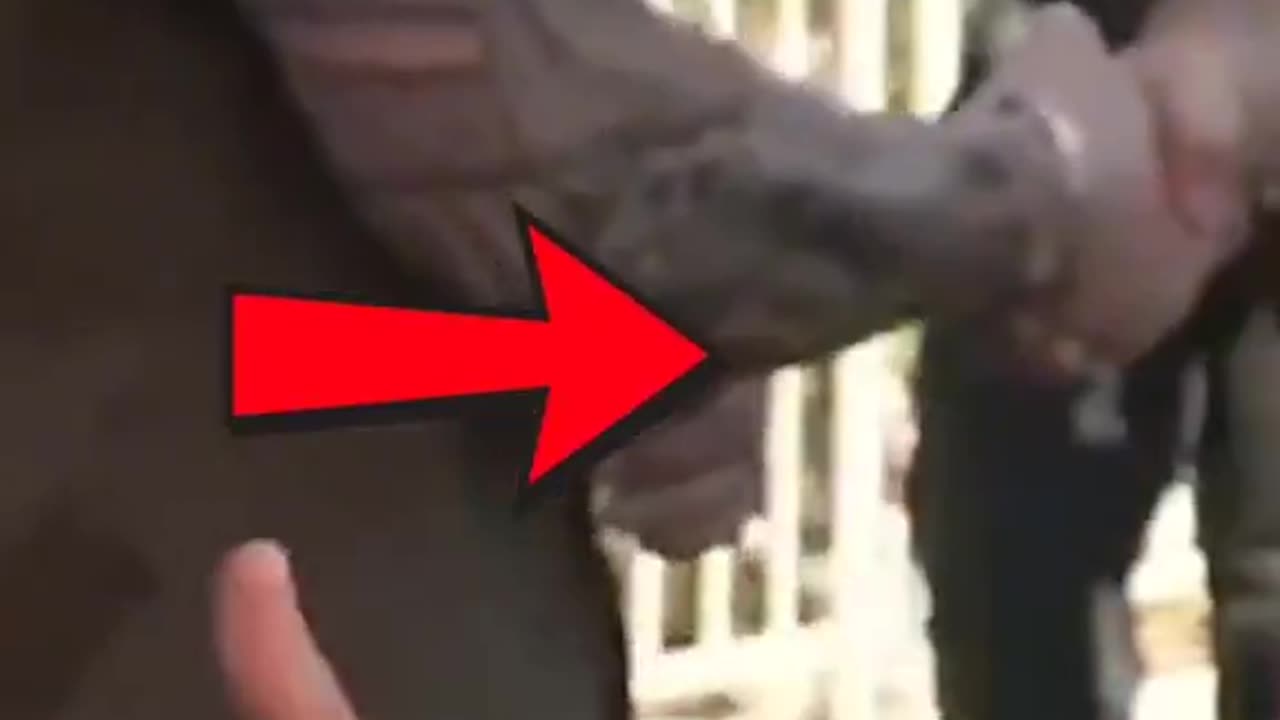 What is happening here?
