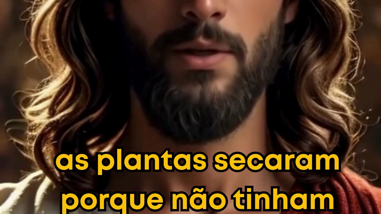 A Parábola do Semeador (Mateus 13:3-8)