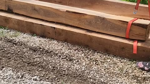 Flock it Farm: first load of wood for first cabin