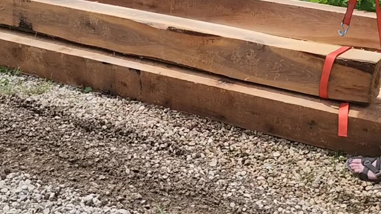 Flock it Farm: first load of wood for first cabin