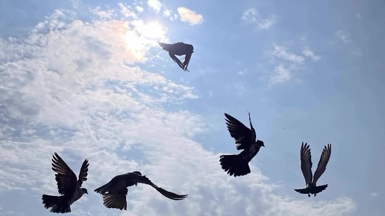 Nature