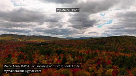 Maine B-Roll (No Audio): Fall Foliage in Woodstock Maine Video 10