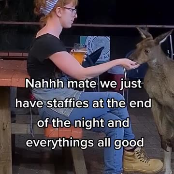 Kangaroo diaries only in Australia 🇦🇺