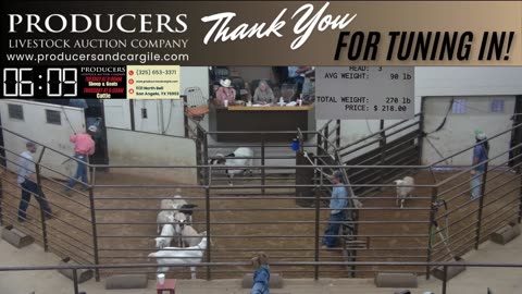 6/17/2025 - Sheep & Goat Auction - Producers Livestock Auction Company