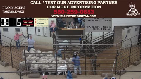 6/17/2025 - Sheep & Goat Auction - Producers Livestock Auction Company
