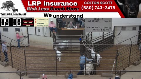 6/17/2025 - Sheep & Goat Auction - Producers Livestock Auction Company