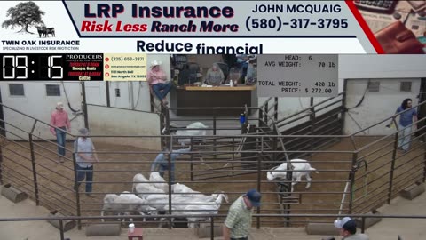 6/17/2025 - Sheep & Goat Auction - Producers Livestock Auction Company