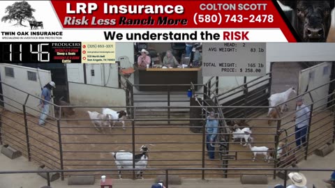 6/17/2025 - Sheep & Goat Auction - Producers Livestock Auction Company