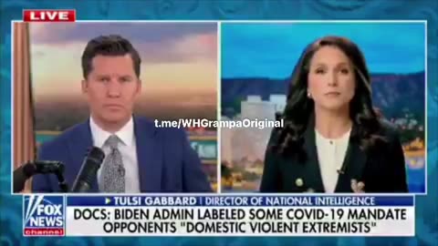 DNI Tulsi Gabbard exposes Biden's weaponisation and politicisation of US intelligence services