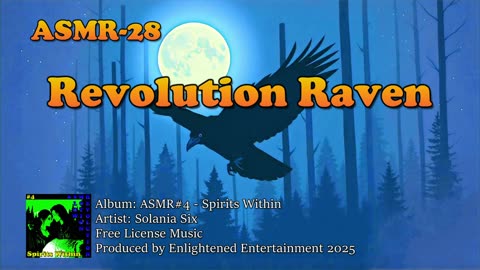 "Revolution Raven" - ASMR-28 | Solania Six