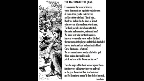 The Teaching Of The Quail