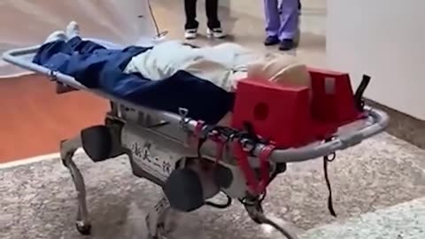Carrying patients has never been easier!.hd