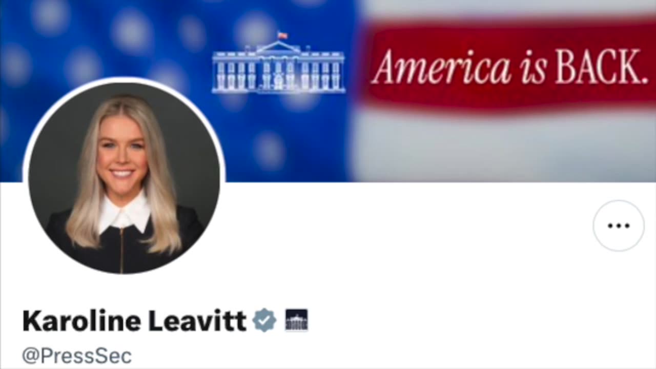 The Executive Branch Cannot Function If Low Level Judges Block The President At Every Turn