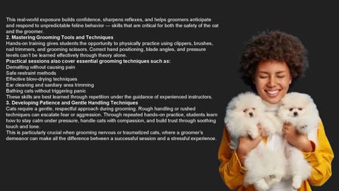 The Role of Hands-On Training in Cat Grooming Workshops — The Pets Workshop