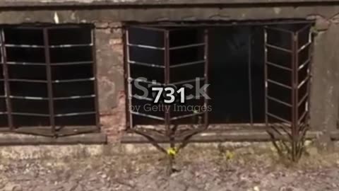 Unit 731: Japan's Secret WW2 Death Lab #historybuff #history #nativeamerican #ww2