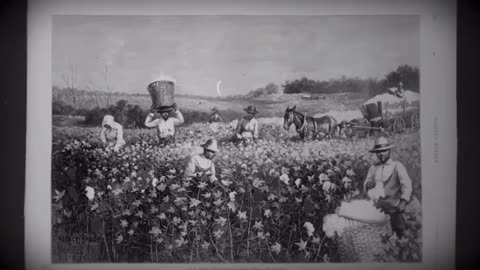 The Ultimate Reparations: The TRUTH