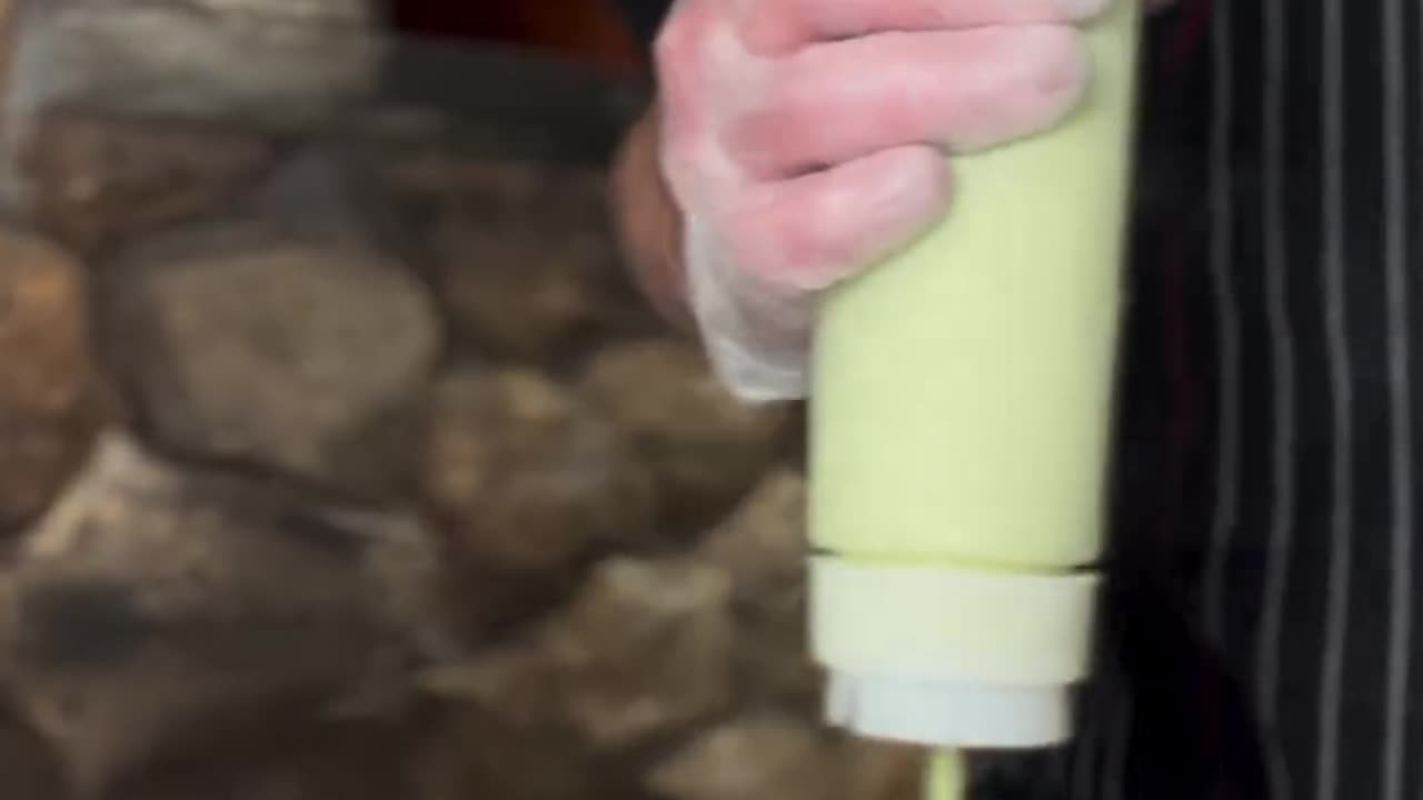 funnyvideosdaily