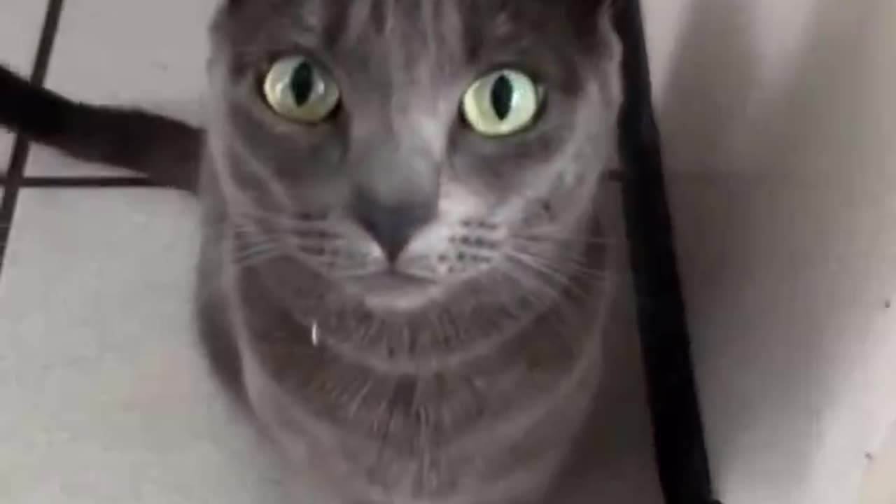 HAPPY CATURDAY