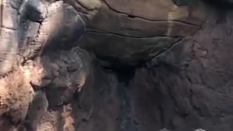 OMG! that was close...