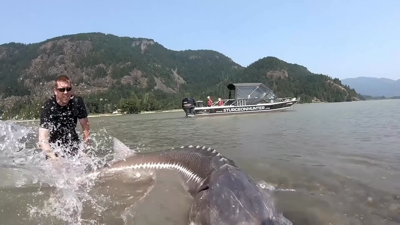 "Nature vs Man: 1 Night Alone in Alaska Without Gear"