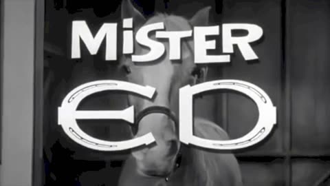 Mr. Ed