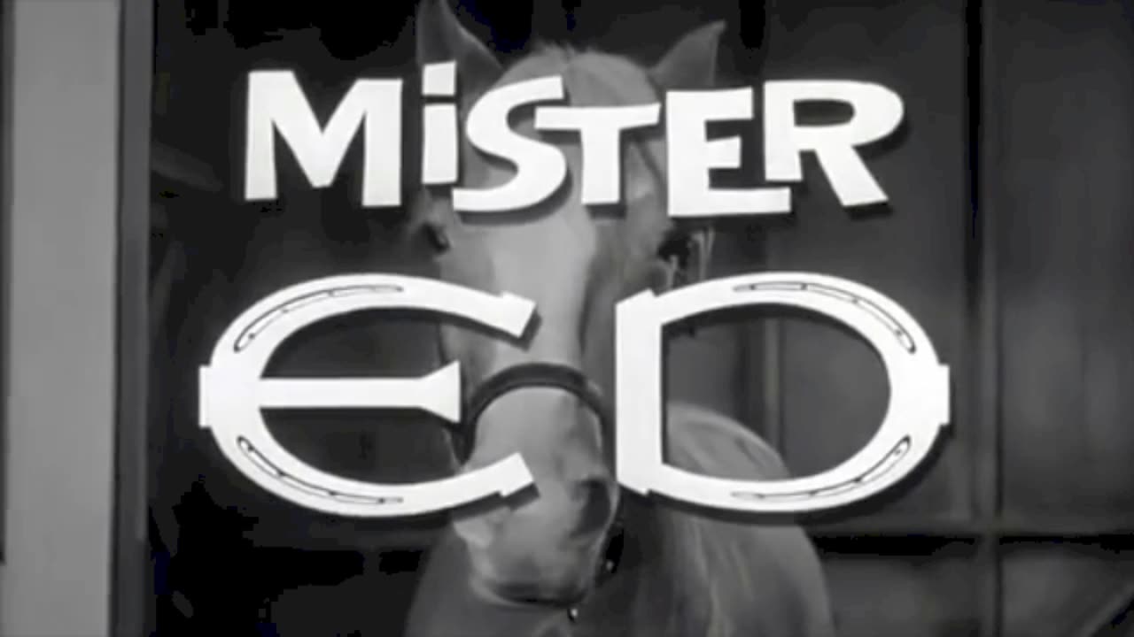 Mr. Ed
