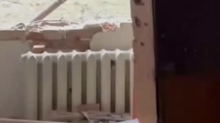 Aftermath of a Firefight