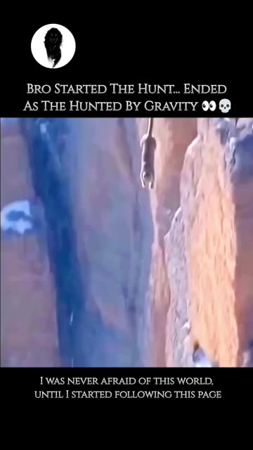 Puma get humbled by gravity's IDBIG