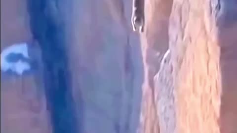 Puma get humbled by gravity's IDBIG