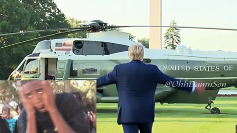 Donald Trump "They Don't Know WTF They're Doing" - Remix
