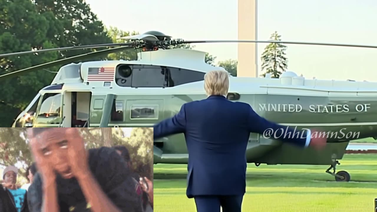 Donald Trump "They Don't Know WTF They're Doing" - Remix