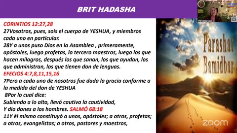 REGRESANDO A CASA AL VERDADERO OLIVO DE LA TORAH - PARASHAT #34 BAMIDBAR (EN EL DESIERTO)