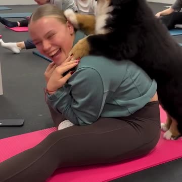 Yoga with puppies 😊