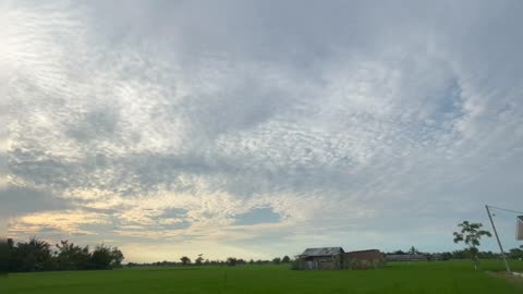 The Beauty of Rice Fields