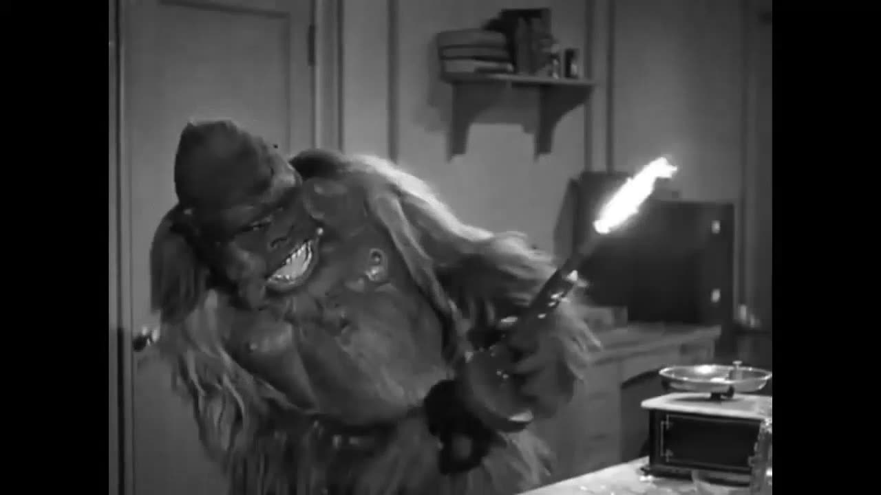 The Peaceful Religion in Practice