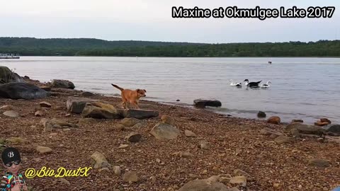 Maxine at Okmulgee Lake in Oklahoma