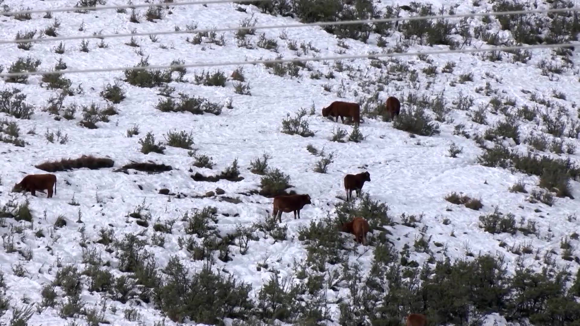 Heavy snow in South Africa causes fatal accident, power outages