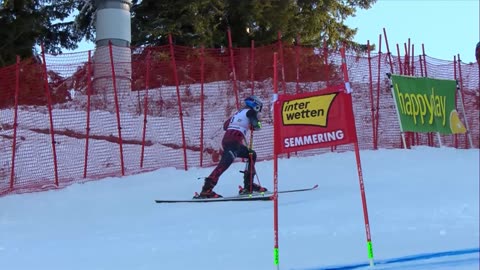 Lara Colturi ne Austri