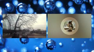 Ahoy The Ship Show - 02/19/2026