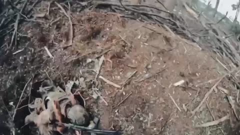 Aftermath of Ukrainian Raid Behind Russian Lines