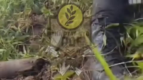 🔥🚗 Myanmar War | Tha Pyay Nyo PDF & Allies Ambush Junta Troops on Yangon-Mawlamyine Road | RCF