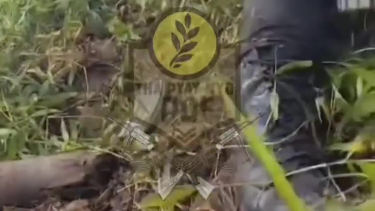 🔥🚗 Myanmar War | Tha Pyay Nyo PDF & Allies Ambush Junta Troops on Yangon-Mawlamyine Road | RCF