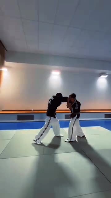Hapkido